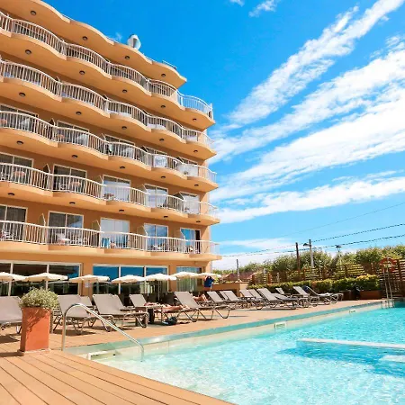 Kaktus Volga - Adults Recommended Calella