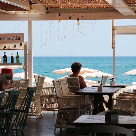 Kaktus Volga - Adults Recommended Calella